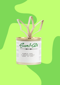 Lata Aromática Sani Air 133 ml